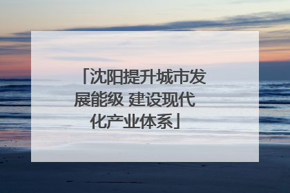 沈阳提升城市发展能级 建设现代化产业体系